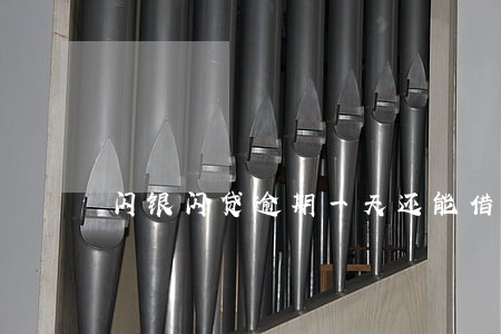 闪银闪贷逾期一天还能借吗 闪银闪贷逾期一天还能借吗