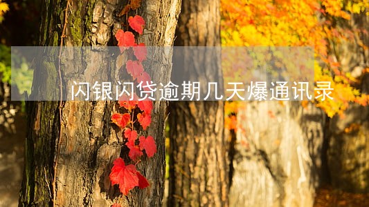 闪银闪贷逾期几天爆通讯录 闪银闪贷逾期几天爆通讯录