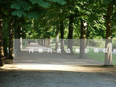 闪银闪贷逾期影响糯米贷吗 闪银闪贷逾期影响糯米贷吗