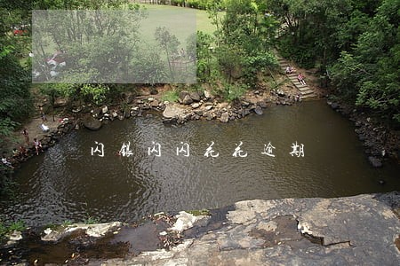 闪银闪闪花花逾期 闪银闪闪花花逾期