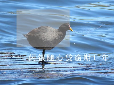 闪银随心贷逾期1年 闪银随心贷逾期1年