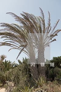 闪银随心贷逾期一年没上征信 闪银随心贷逾期一年没上征信