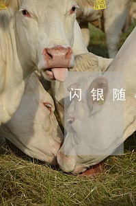 闪银随心贷逾期收到执行通知 闪银随心贷逾期收到执行通知