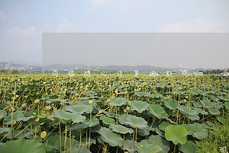 闪银随心还算逾期吗 闪银随心还算逾期吗