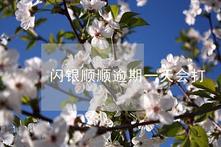 闪银顺顺逾期一天会打 闪银顺顺逾期一天会打