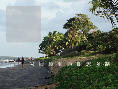 闪银顺顺逾期想强制 闪银顺顺逾期想强制