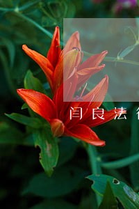 闫良法律援助电话是多少 闫良法律援助电话是多少
