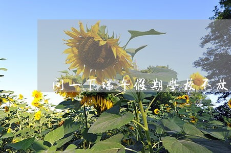 问一下端午假期学校不放假违法吗 问一下端午假期学校不放假违法吗