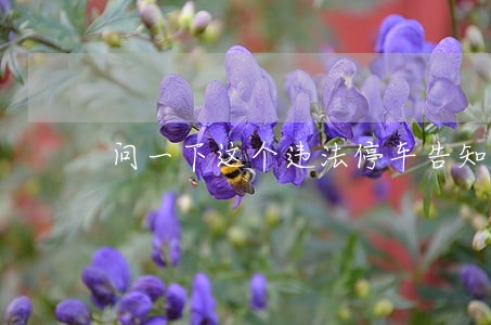 问一下这个违法停车告知单怎么搞 问一下这个违法停车告知单怎么搞