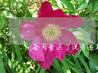 问备用金还了说有逾期 问备用金还了说有逾期