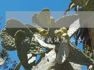 问律师我该怎么办 问律师我该怎么办