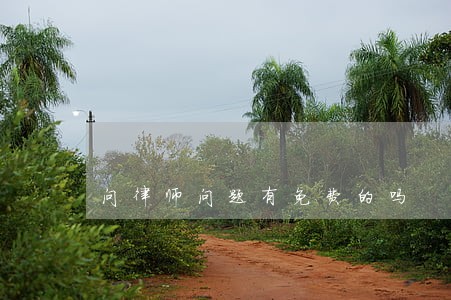 问律师问题有免费的吗 问律师问题有免费的吗