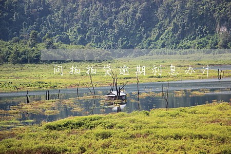 问拍拍贷逾期利息办计 问拍拍贷逾期利息办计