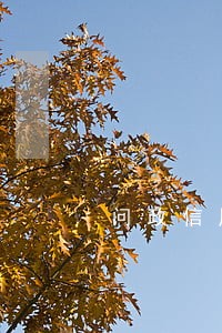 问政信用卡还款逾期 问政信用卡还款逾期
