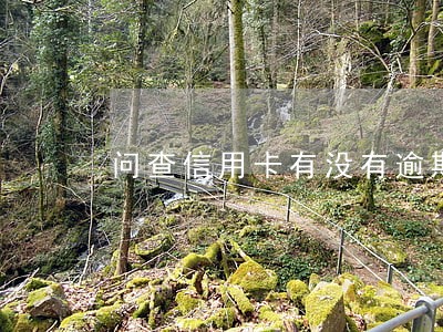 问查信用卡有没有逾期 问查信用卡有没有逾期