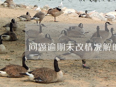 问题逾期未改情况解明 问题逾期未改情况解明