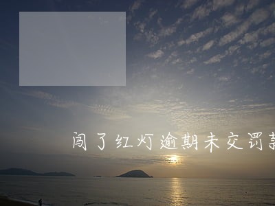 闯了红灯逾期未交罚款