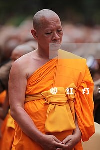 闯红灯不交逾期费用 闯红灯不交逾期费用