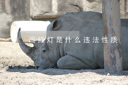 闯红灯是什么违法性质