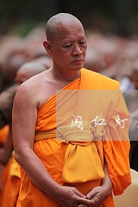 闯红灯是违法行为这个大家都知道 闯红灯是违法行为这个大家都知道