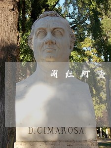 闯红灯查询征信逾期 闯红灯查询征信逾期
