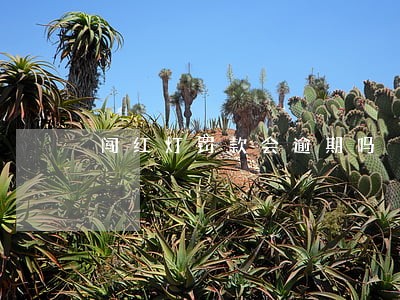 闯红灯罚款会逾期吗 闯红灯罚款会逾期吗