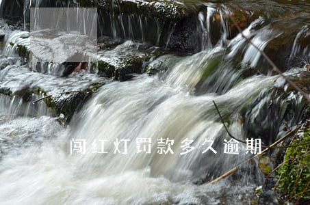 闯红灯罚款多久逾期 闯红灯罚款多久逾期