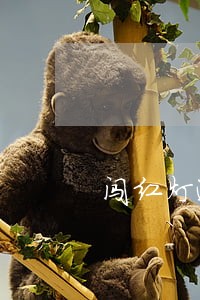 闯红灯逾期最高罚款多少 闯红灯逾期最高罚款多少