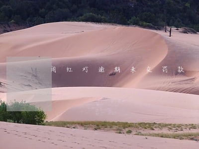 闯红灯逾期未交罚款 闯红灯逾期未交罚款