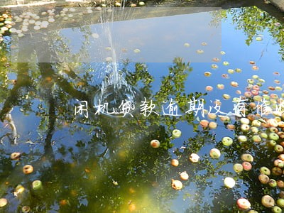 闲机贷款逾期没有催收 闲机贷款逾期没有催收