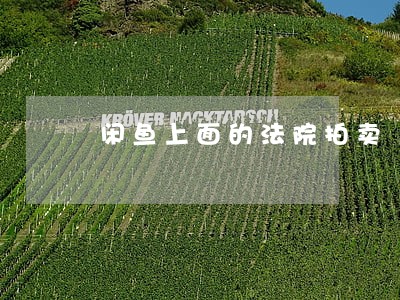 闲鱼上面的法院拍卖