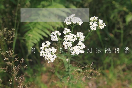 闲鱼买东西收到法院传票
