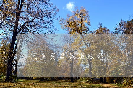 闲鱼买盗版违法吗