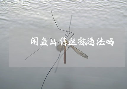 闲鱼出售丝袜违法吗 闲鱼出售丝袜违法吗