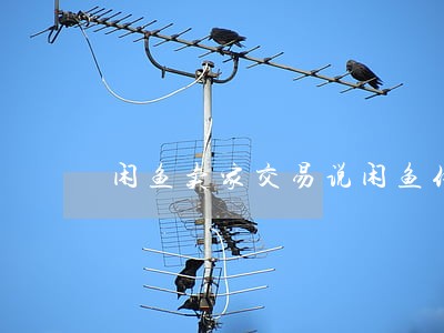 闲鱼卖家交易说闲鱼付款逾期
