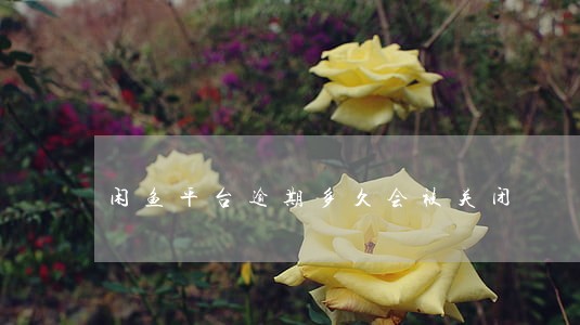 闲鱼平台逾期多久会被关闭 闲鱼平台逾期多久会被关闭