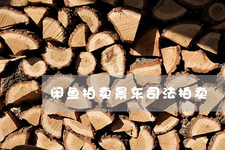闲鱼拍卖景东司法拍卖 闲鱼拍卖景东司法拍卖