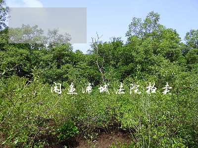 闲鱼浦城法院拍卖 闲鱼浦城法院拍卖