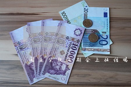 闲鱼货款逾期会上征信吗 闲鱼货款逾期会上征信吗