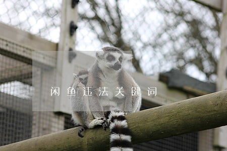 闲鱼违法关键词