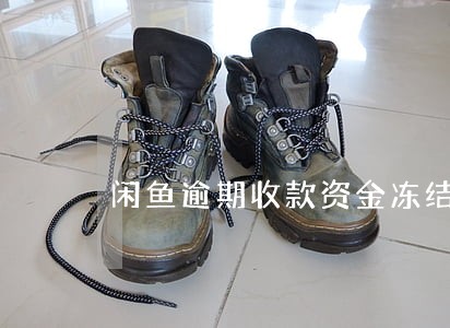 闲鱼逾期收款资金冻结 闲鱼逾期收款资金冻结