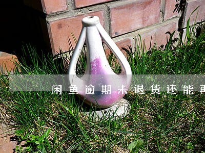 闲鱼逾期未退货还能再申请吗 闲鱼逾期未退货还能再申请吗