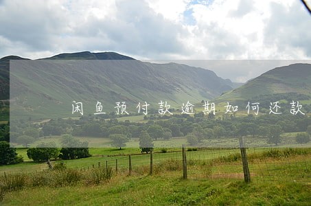 闲鱼预付款逾期如何还款 闲鱼预付款逾期如何还款