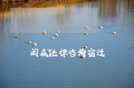 闳森法律咨询宿迁 闳森法律咨询宿迁