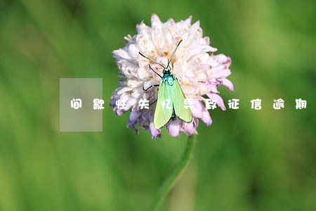 间歇性失忆导致征信逾期 间歇性失忆导致征信逾期