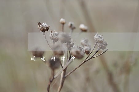 闵健麟律师 闵健麟律师