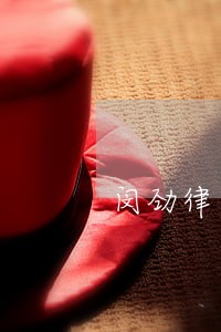 闵劲律师 闵劲律师