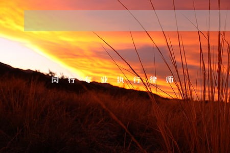 闵行专业执行律师 闵行专业执行律师