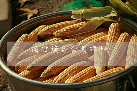 闵行债务合同律师 闵行债务合同律师