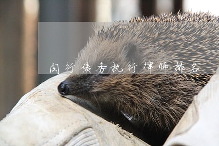 闵行债务执行律师排名 闵行债务执行律师排名
